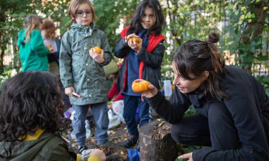 forest schools flourish as youngsters log off and learn from nature schools the guardian