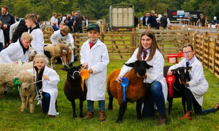 Prize-winning sheep at the Wolsingham, County Durham.