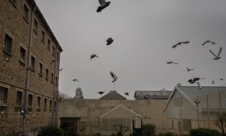 Pigeons in flight over buildings