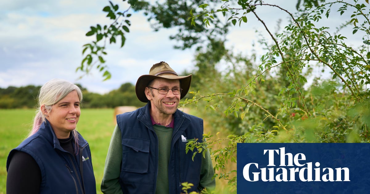 Conservation ‘gateway drug’: farmers embrace ancient craft of hedge laying