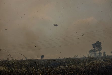 A water-bombing helicopter releases thousands of litres of water to suppress a peatland fire