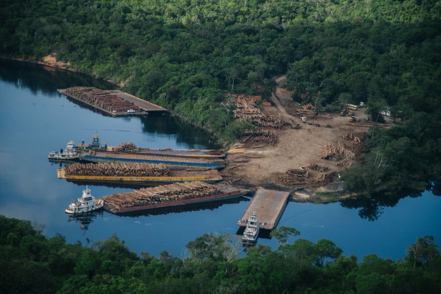 A logging operation filmed during a 1,000-mile surveillance flight over the Amazon last month.