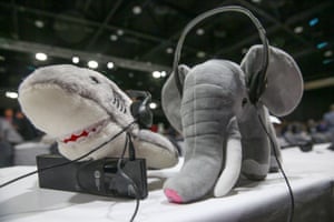 A desk at the Cites global wildlife summit