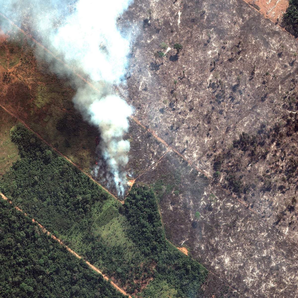 Amazon Fires What Is Happening And Is There Anything We Can Do Amazon Rainforest The Guardian