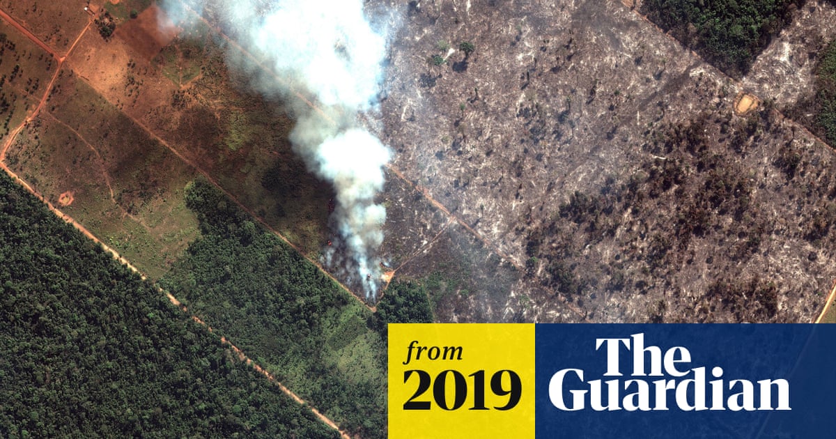 Amazon Fires What Is Happening And Is There Anything We Can Do Environment The Guardian