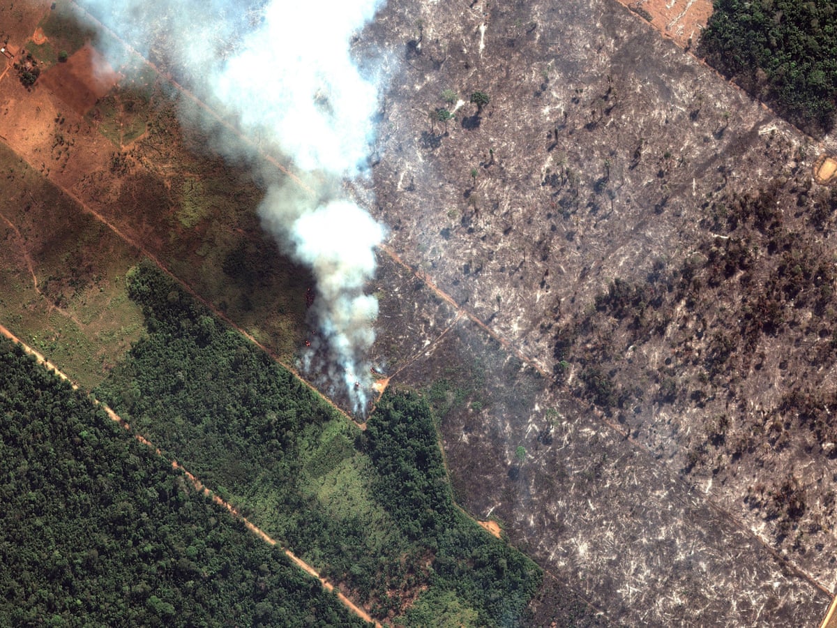 Amazon Fires What Is Happening And Is There Anything We Can Do Amazon Rainforest The Guardian Amazon Fires What Is Happening And Is There Anything We Can Do Amazon Rainforest The Guardian