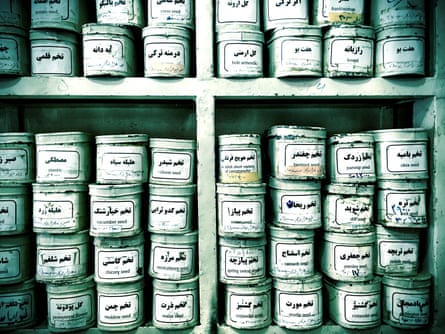 мята болотная успокаивает, цикорий очищает, майоран поднимает настроение...