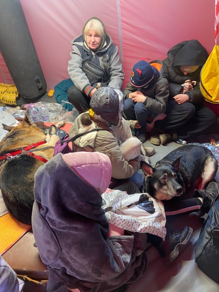 Alisa’s family and dogs waiting in a red tent after arriving in Poland.