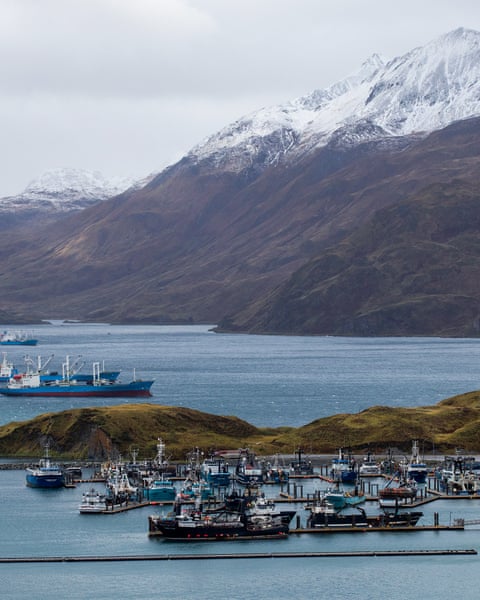Boats in harbor