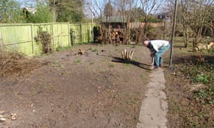 Cómo diseñé y construí mi jardín comestible 1 Clearing the ground for Lucy Chamberlain’s vegetable garden