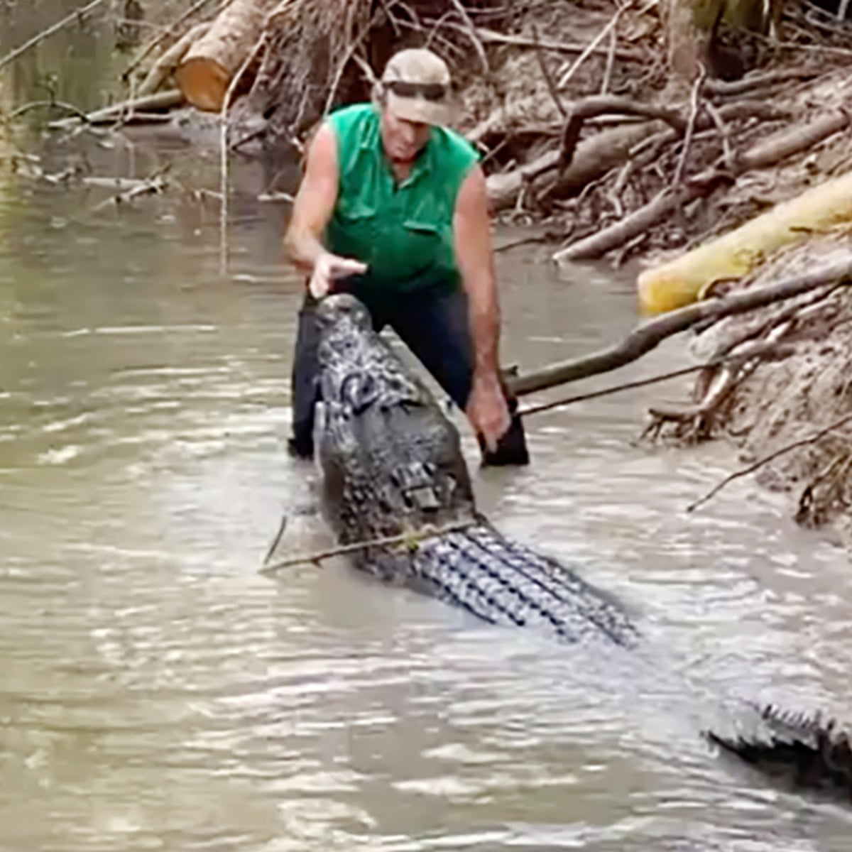 Sit! sit!' How one Australian dealt with a 4m crocodile called  'Bonecruncher' | Crocodiles | The Guardian