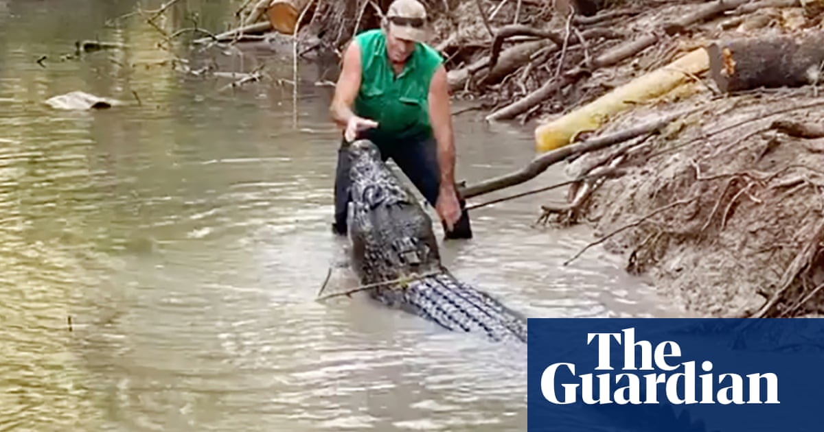 Sit Sit How One Australian Dealt With A 4m Crocodile Called Bonecruncher Crocodiles The Guardian