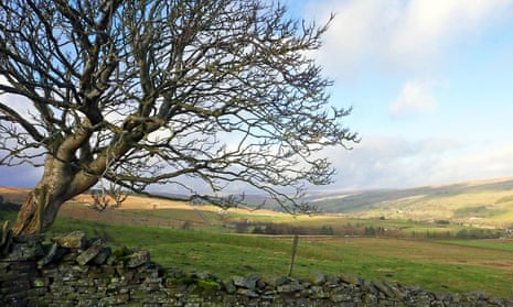 A view of Upper Weardale, from Chapel Fell.