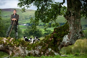 James Rebanks by Murdo MacLeodWriter and farmer James Rebanks, with his Herdwick sheep at Racy Ghyll Farm, Penruddock, Penrith, Cumbria
