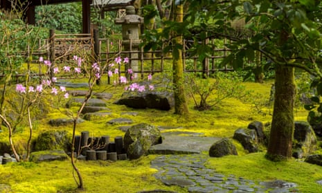 Zen tranquillity: add some stepping stones and a few suitable plants to your moss and all of a sudden it’s a lovely Japanese garden.
