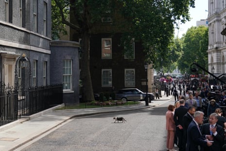 Larry the Downing Street cat outside No 10 today.