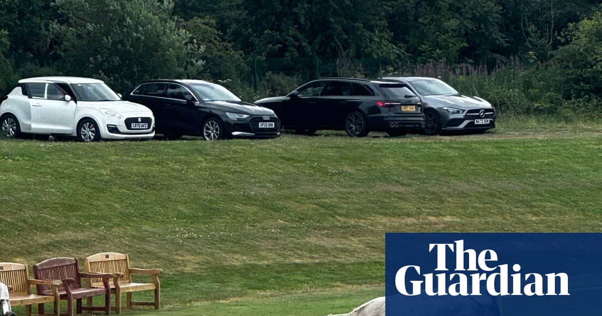 Cricket match abandoned after charging bull stops play