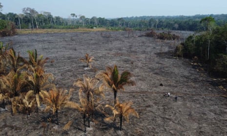 An aerial photo shows a burned section of Amazon rainforest, in the department of Madre de Dios, Peru, this month.