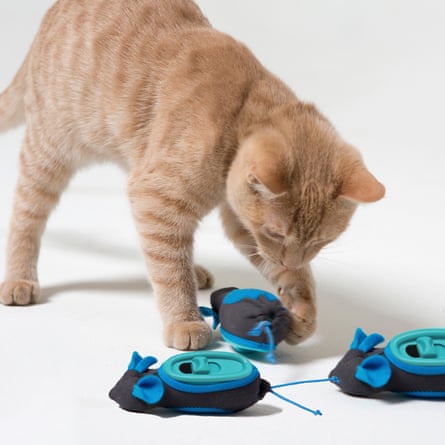 A cat playing with Doc and Phoebe’s Hunting Mice
