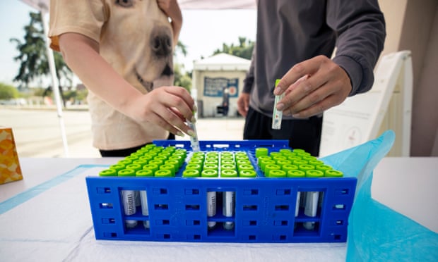 People place self-administered PCR tests in a plastic container in Los Angeles.