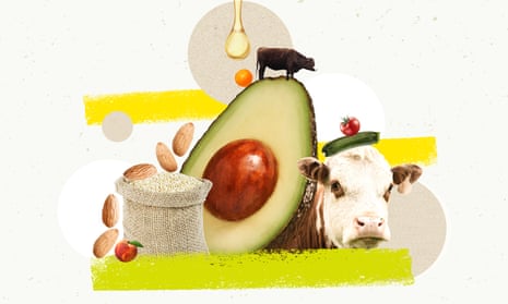 Why is Avocado called cow oil fruit?