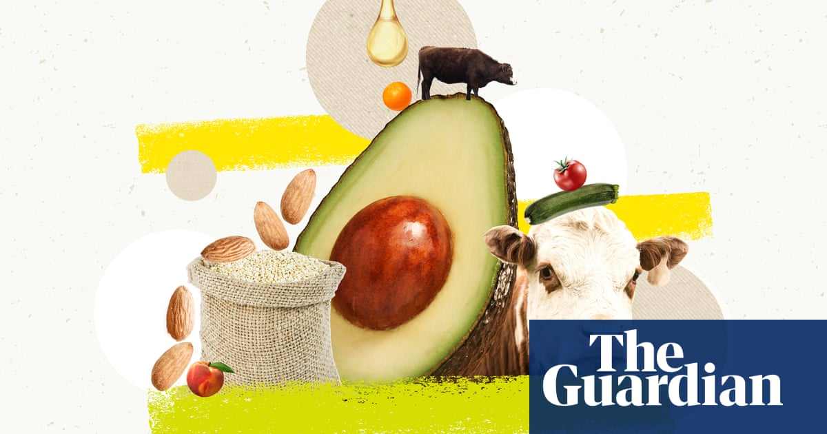 Why you should go animal-free: 18 arguments for eating meat debunked Why you should go animal-free: 18 arguments for eating meat debunked