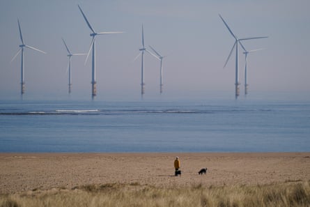 A woman walks her dog on the beach in front of the EDF energy offshore wind farm at South Gare near Redcar