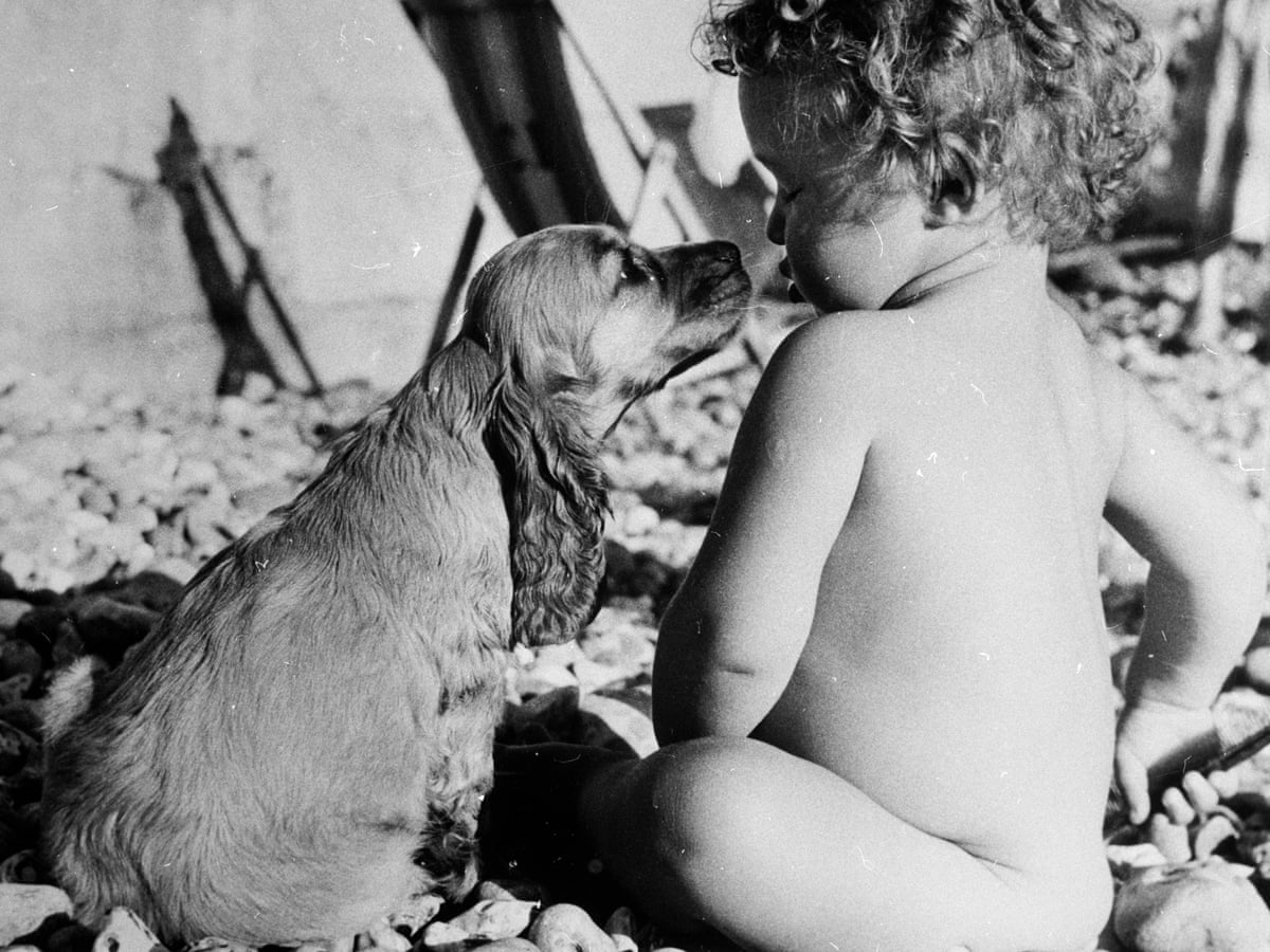 25 Ways You Know Your Dog Loves You And That They Re Better Than Cats Dogs The Guardian