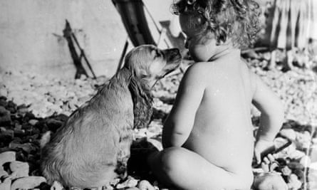 25 Ways You Know Your Dog Loves You And That They Re Better Than Cats Dogs The Guardian