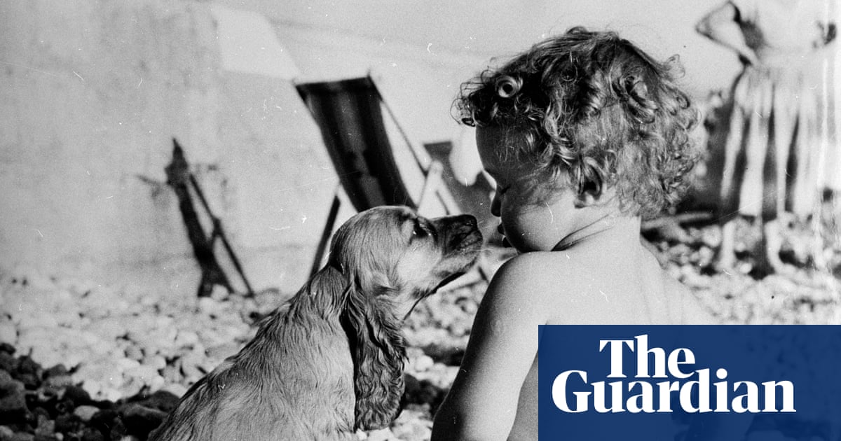 Spotting the Real Culprits: A Look at Child Deceit and Responsibility