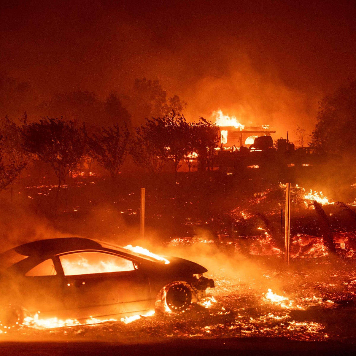 Frightening Footage Shows Wildfire Obliterating Forest near Valencia Frightening Footage Shows Wildfire Obliterating Forest near Valencia