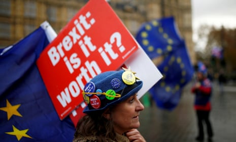 An anti-Brexit demonstrator  outside the Houses of Parliament in London on 26 November 2018.