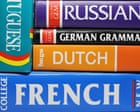 Learning another language appears to slow brain ageing, scientists say