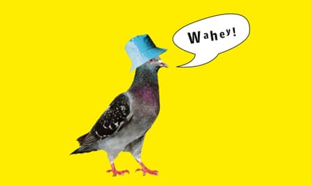 BritcorePigeon
