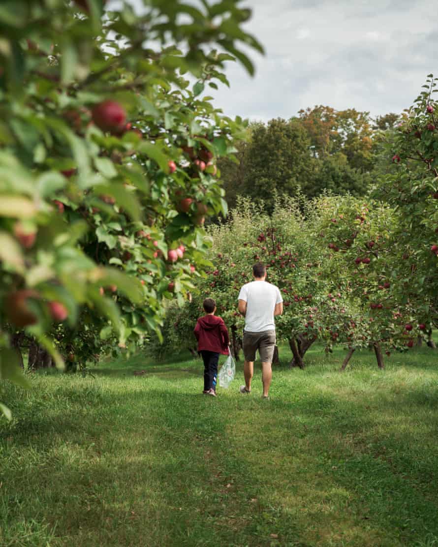 Father and son walking through an apple orchard in the fall together.