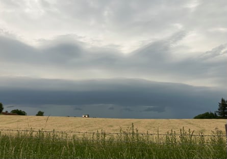 A field of hay that’s been spread to dry, before the storm soaked it, Manor Farm, Inkpen.
