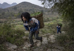 Anshun, China
Luo Hongni, 11, and brother Luo Gan, 10, carry flowers to be used as animal feed. The Luo siblings are being raised by their grandparents after their parents left to find work in urban areas. A recent government report puts the number of ‘left behind’ children at nearly 10 million.