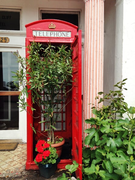 Urban gardening in Dover.