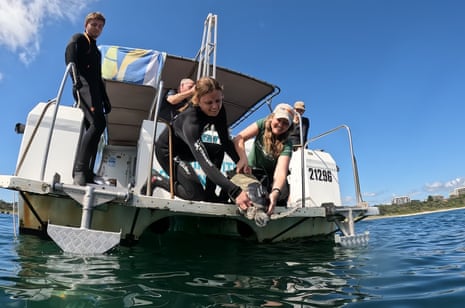 A juvenile turtle is released from a boat into the ocean by two women as other crew members look on.