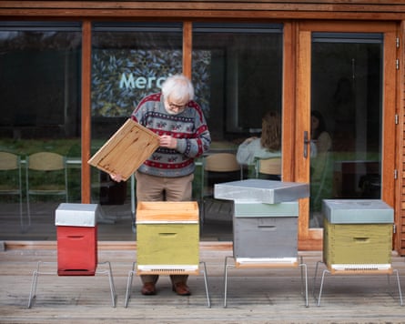 A man with white hair inspects one of four bee hives.