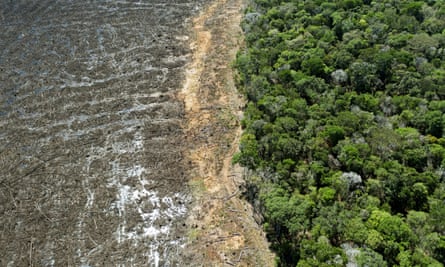 A deforested area close to Sinop, Mato Grosso state, Brazil.