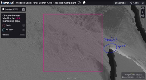 Satellite image of ice with pink box overlaid to show study area. A group of seals is just outside the box