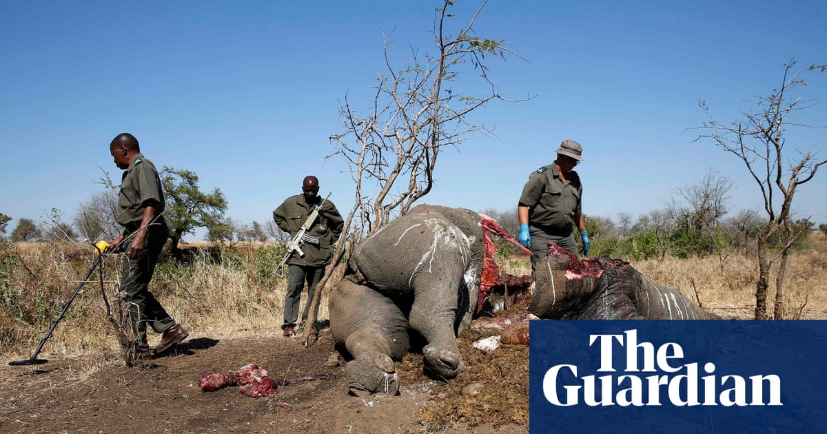 Revealed The Criminals Making Millions From Illegal Wildlife revealed-the-criminals-making-millions-from-illegal-wildlife