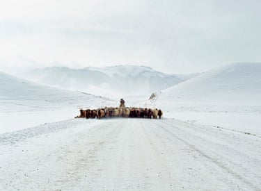 Shepherd, Tien Shan Mountains, January 2021In the mountains the temperatures can swiftly drop to –35° Celsius.I f the sheep are out overnight, they will all die. An entire family’s livelihood can be lost. A snow packed valley littered with frozen sheep, still upright like thousands of stone statuettes is a common sight and one that embodies the precarious existence of village life. The elements that carve away at the rocks, likewise chisel into the souls of the shepherds. What is left are the essentials of the human spirit. Only principles and dogma shaped by necessity and experience remain.