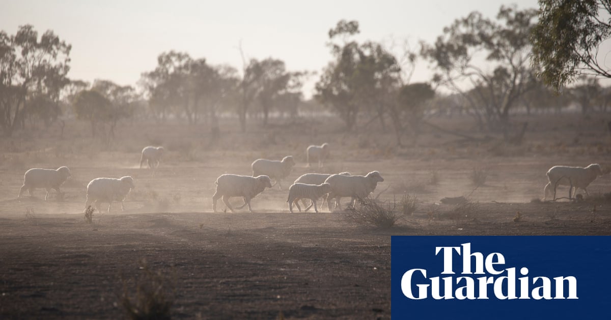 Image result for 'I don't know how we come back from this': Australia's big dry sucks life from once-proud towns