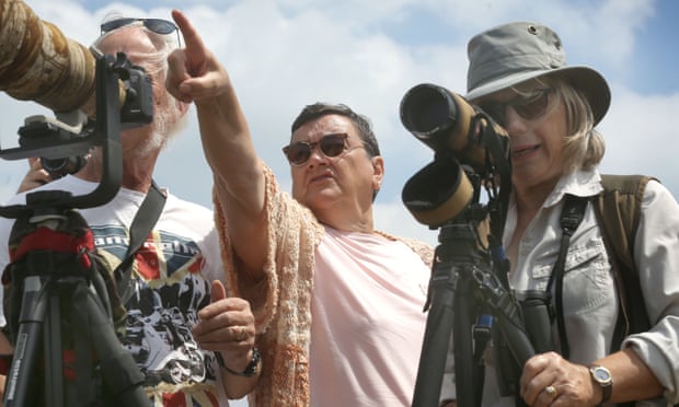 Birders capture images of a flock of bee-eaters that arrived in June in Trimingham, Norfolk
