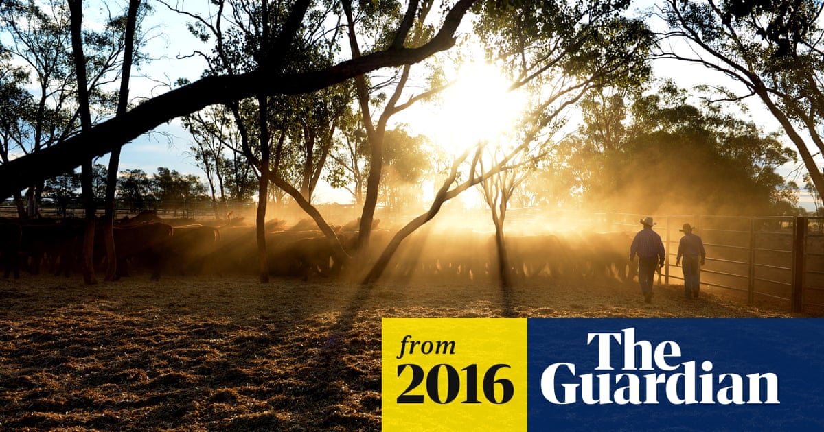 Could carbon farming be the answer for a 'clapped-out' Australia?
