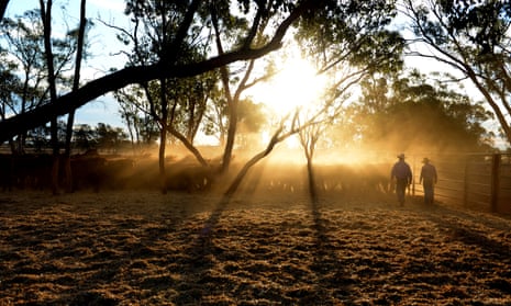 A cattle and sheep farm in south-western Queensland. Australian farmers have been encouraged to take part in the carbon capture auction this week.