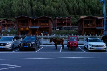 a tuk tuk and a donkey are left waiting in parking bays alongside automobiles, outside high-end residences