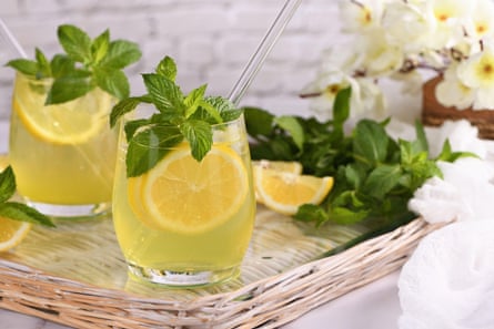 two cocktail glasses with yellow liquid, lemon slices and mint garnish